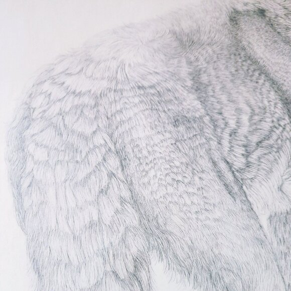 Susan Morrison Coyote Signed & Numbered Print With Gold Metal Frame 1980 - Picture 5 of 8